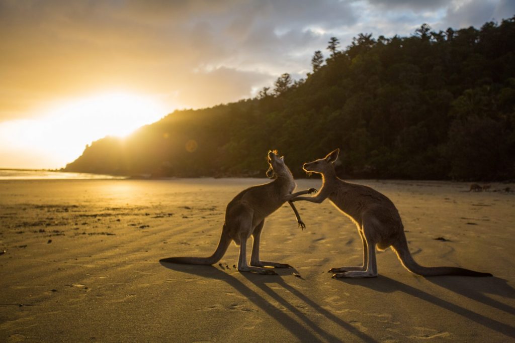 Australien