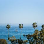 Santa Barbara City College palmer havet