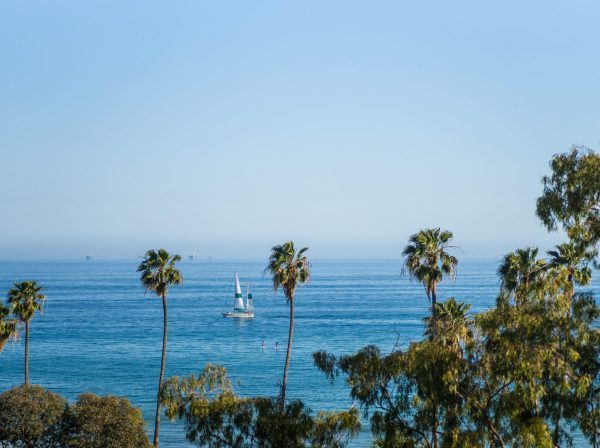 Santa Barbara City College palmer havet