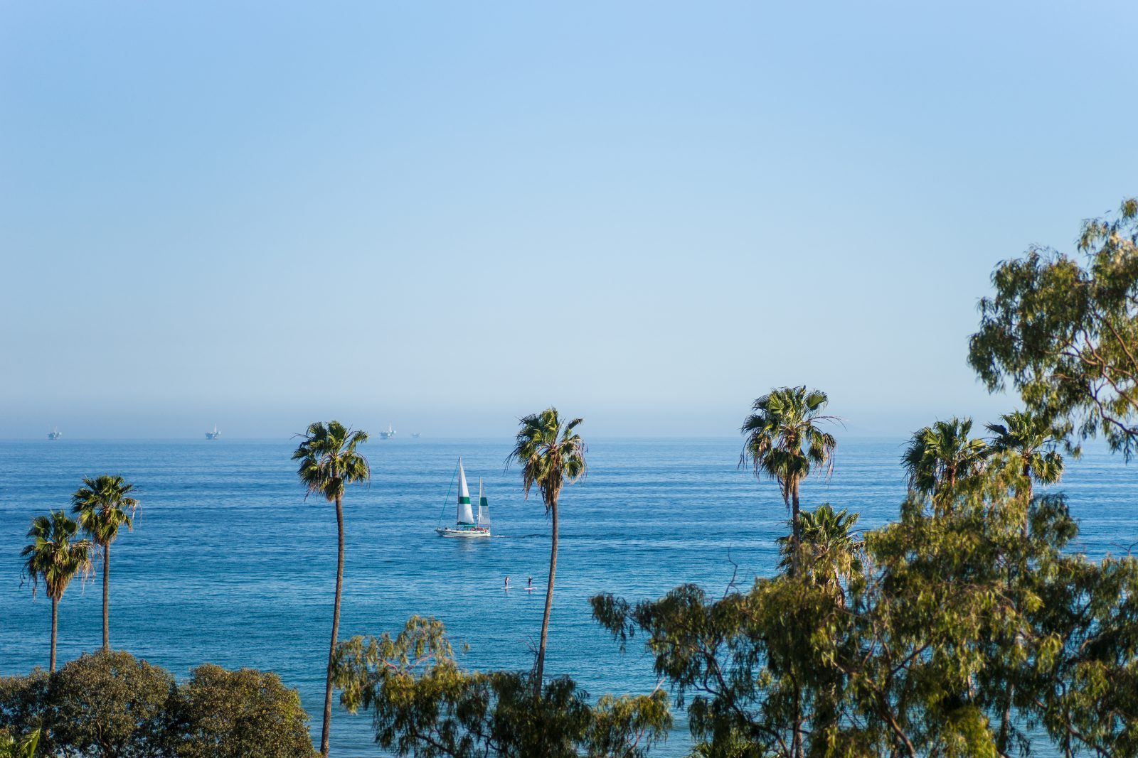 Santa Barbara City College palmer havet