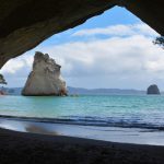 Nya zeelands skolsystem på blueberry.nu