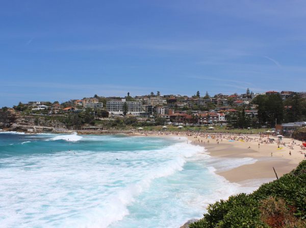 Studera utomlands i Sydney på blueberry.nu
