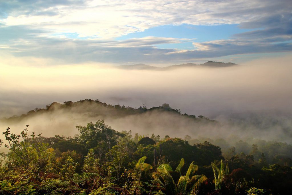 Studera på Swinburne University Borneo på blueberry.nu