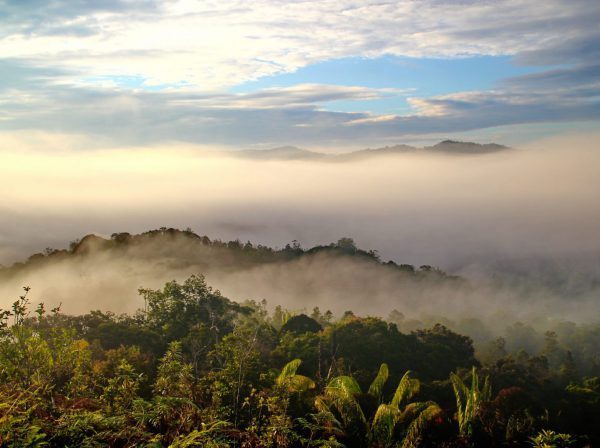Studera på Swinburne University Borneo på blueberry.nu