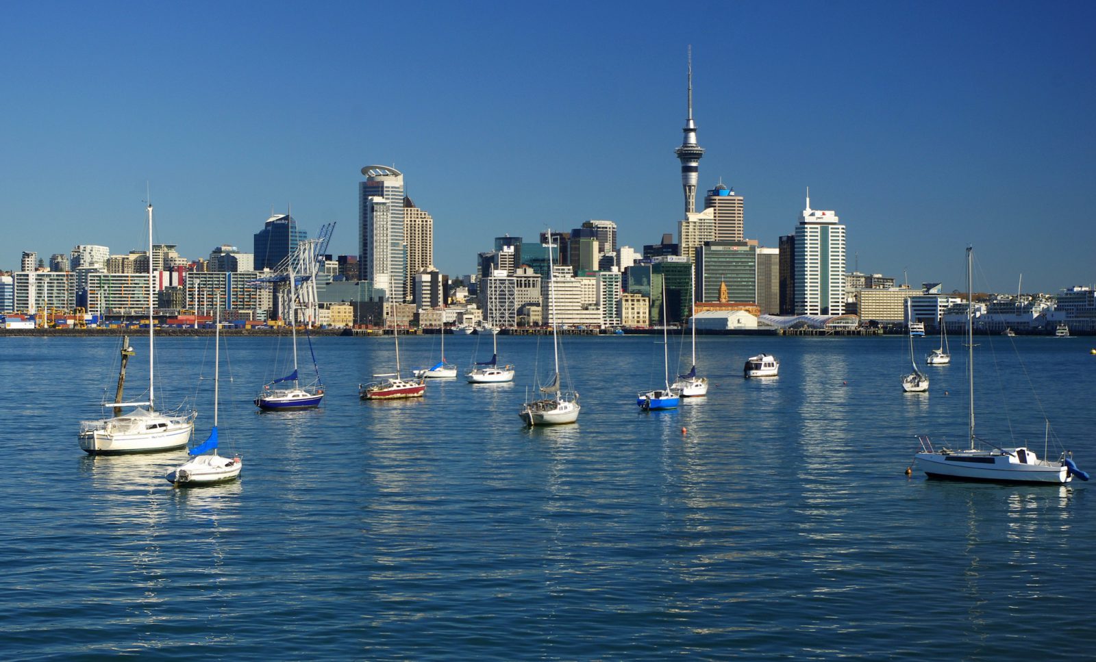 Skyview Auckland, studera utomlands i New Zealand på University of Auckland.