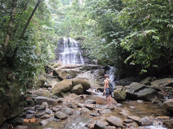 Läs Simons svar om livet på Borneo, Swinburne University of Technology Borneo, Malaysia