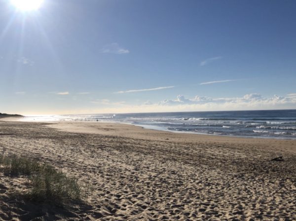 Studera utomlands på University of Wollongong, som Blueberrystudenten Sofia, lär känna nya vänner och ungås på stranden, ansök via blueberry.nu
